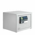 DualSafe DS 445 E FP